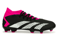 adidas Men's Predator Accuracy.3 FG