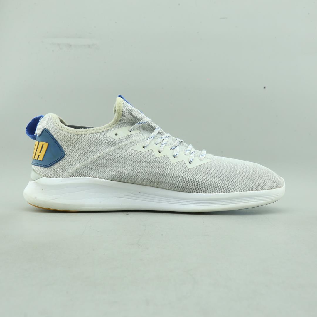 PUMA LGNITE FLASH EVOKNIT
